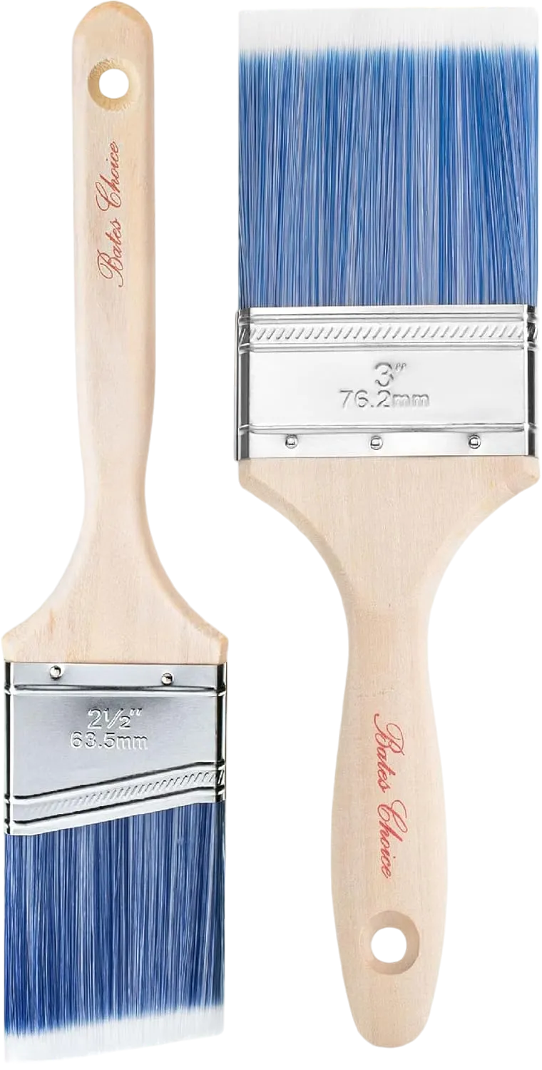 Professional House Paint Brush